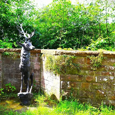 ホテル Dalston Hall 4*