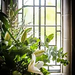 Dalston Hall