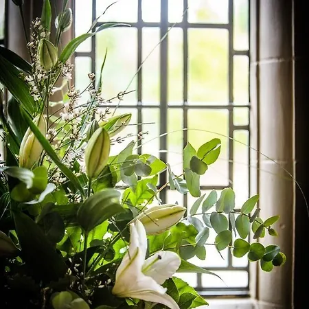 Dalston Hall